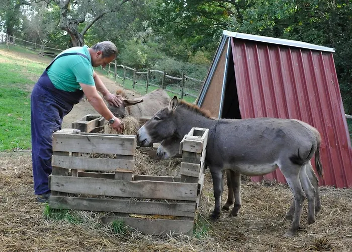 Agriturismo L\'Accolta